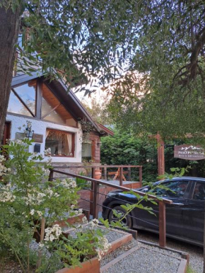 Paso Puyehue Villa La Angostura